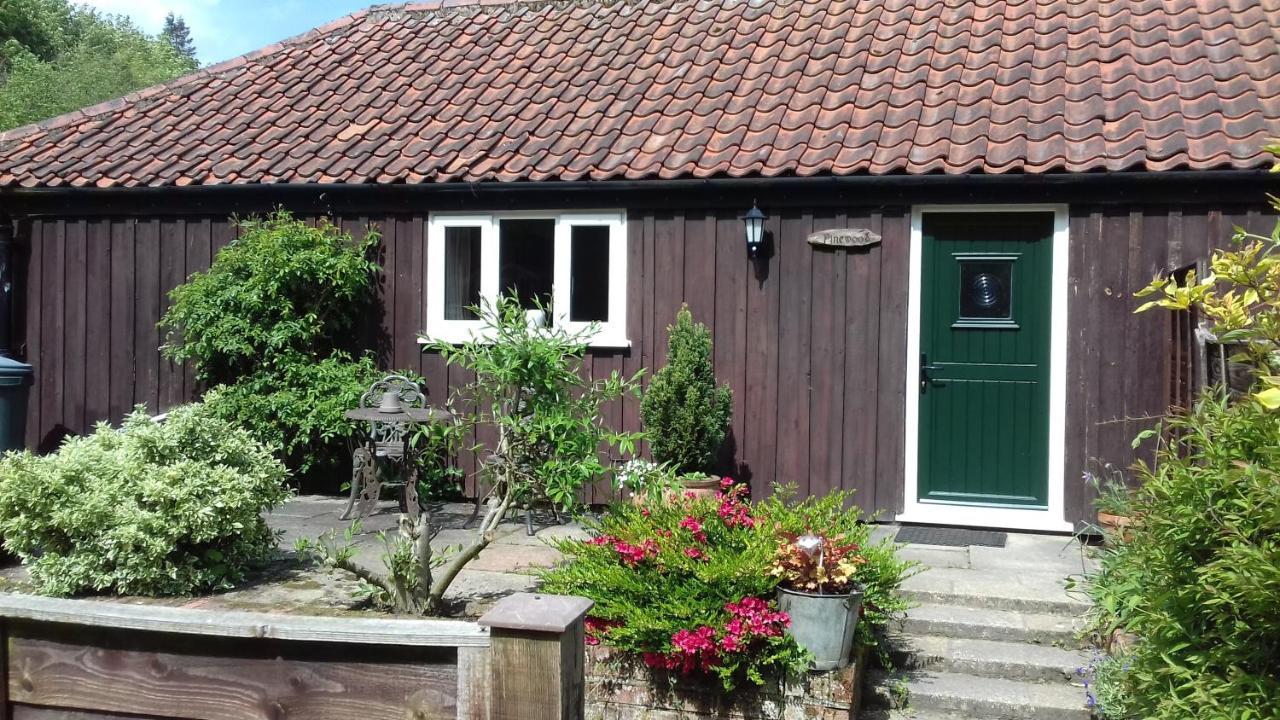 Pinewood Cottage Thorpe Market Luaran gambar